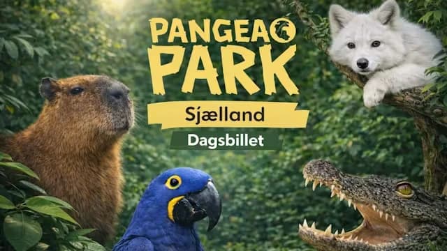 Pangea Park Sjælland Dagsbillet