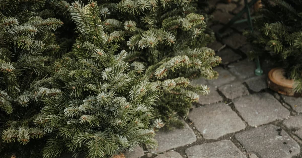 Julemarked i Lellinge