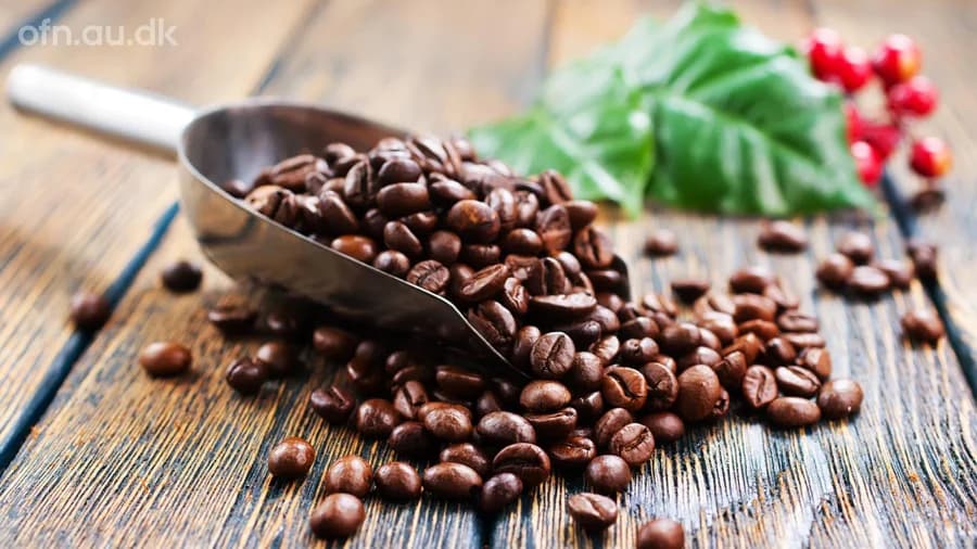 Kaffe - livestreamet foredrag fra Aarhus Universitet