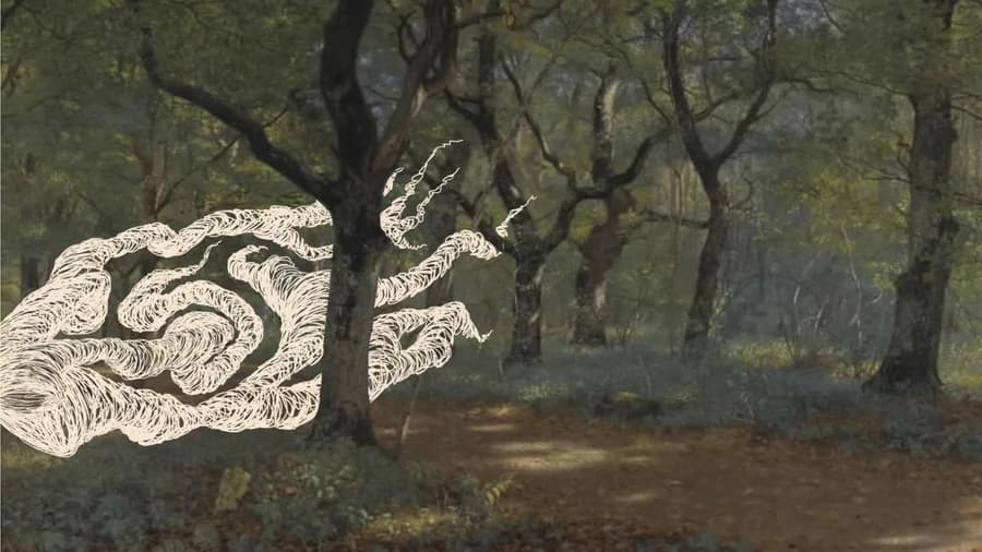 Skovvandring: Planternes historier og naturens magi