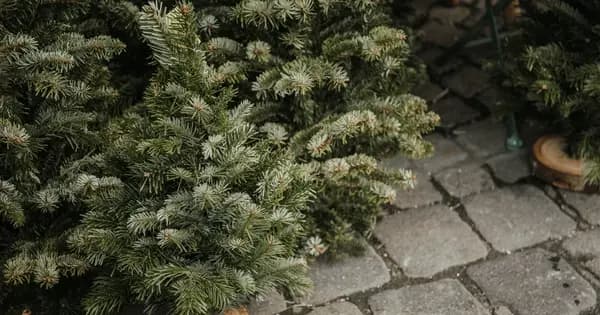 Julemarked i Lellinge