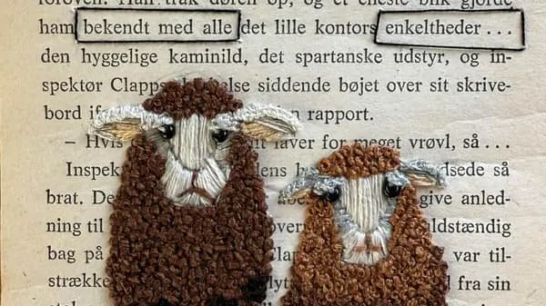 Brodér en bog