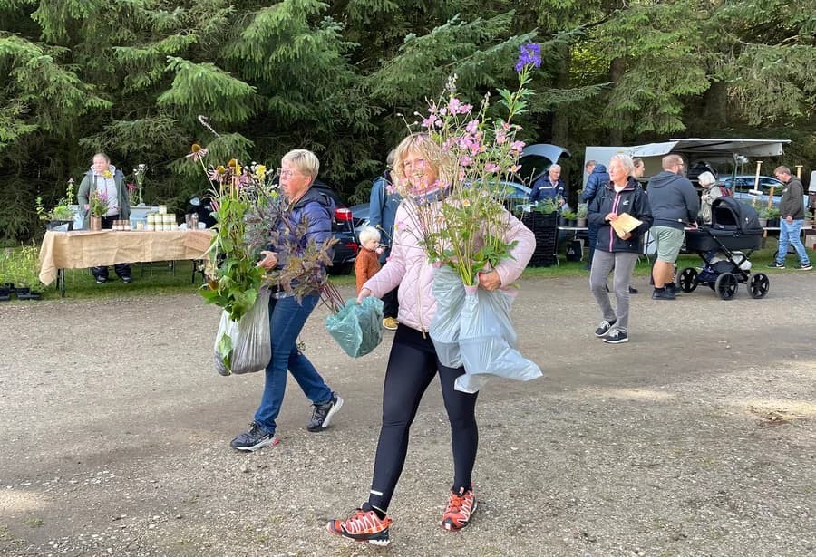 Plantemarked og herfølgedagene