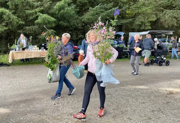 Plantemarked og herfølgedagene