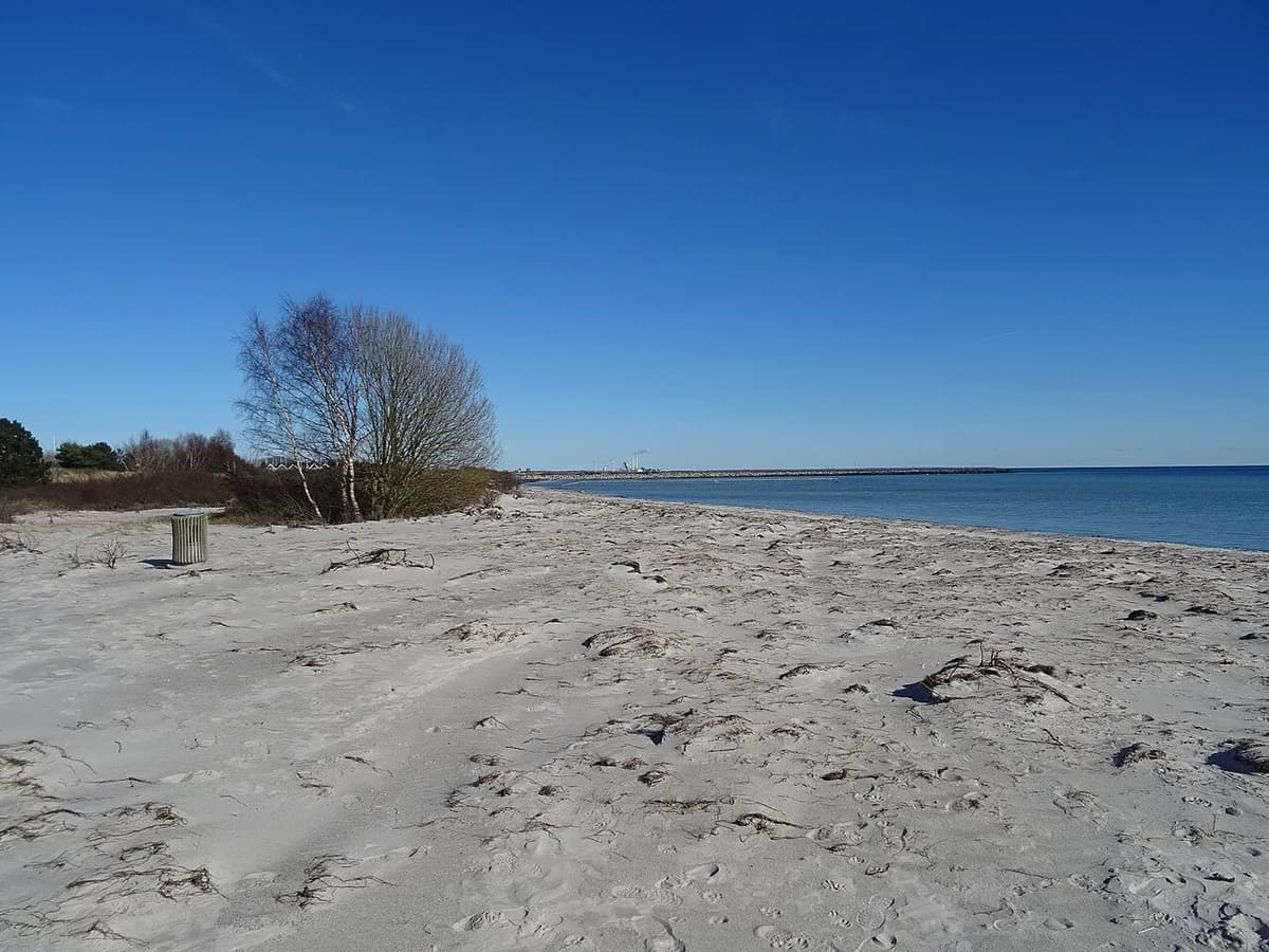 sandy beach with calm water and clear blue sky