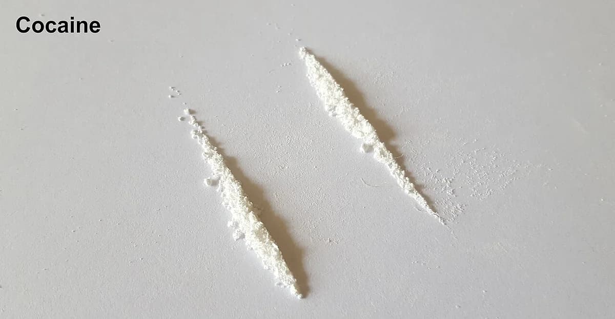 Two lines of white powder on a flat surface.